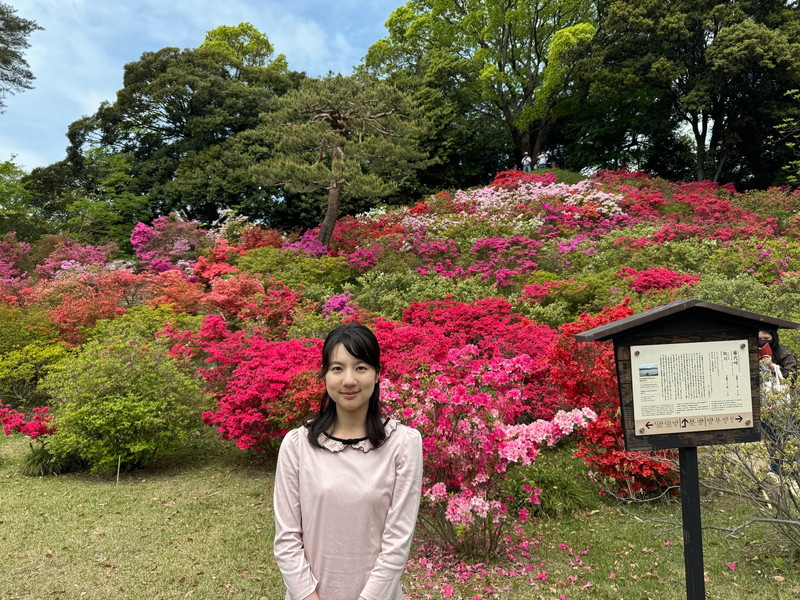 六義園のツツジ